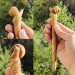 Carved wooden hair stick with snail