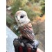 Carved wooden hair fork with Owl, Forest bird Stick