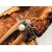 Wooden hair fork with Spider.